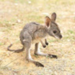 Meet your Posher, Norah